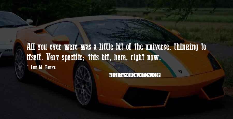 Iain M. Banks Quotes: All you ever were was a little bit of the universe, thinking to itself. Very specific; this bit, here, right now.