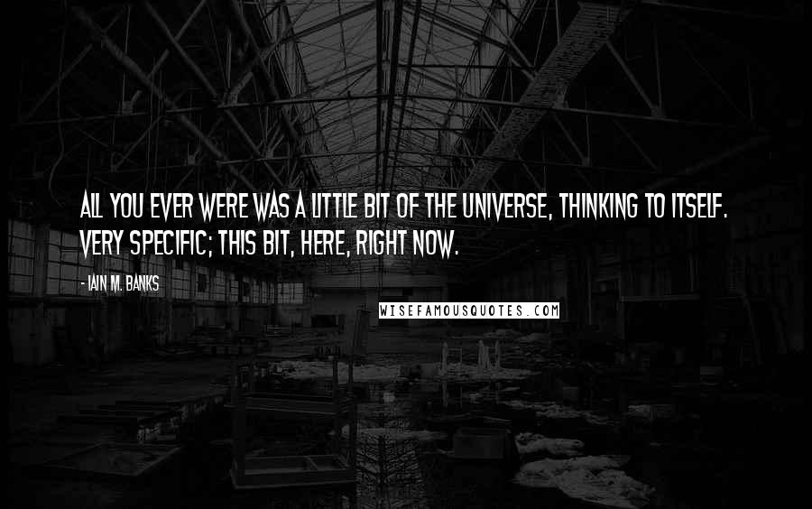 Iain M. Banks Quotes: All you ever were was a little bit of the universe, thinking to itself. Very specific; this bit, here, right now.