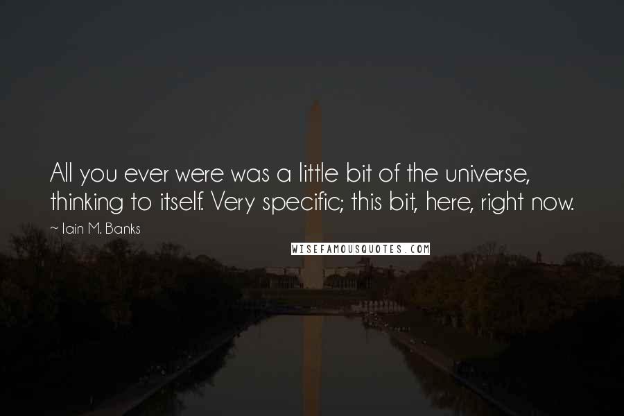 Iain M. Banks Quotes: All you ever were was a little bit of the universe, thinking to itself. Very specific; this bit, here, right now.