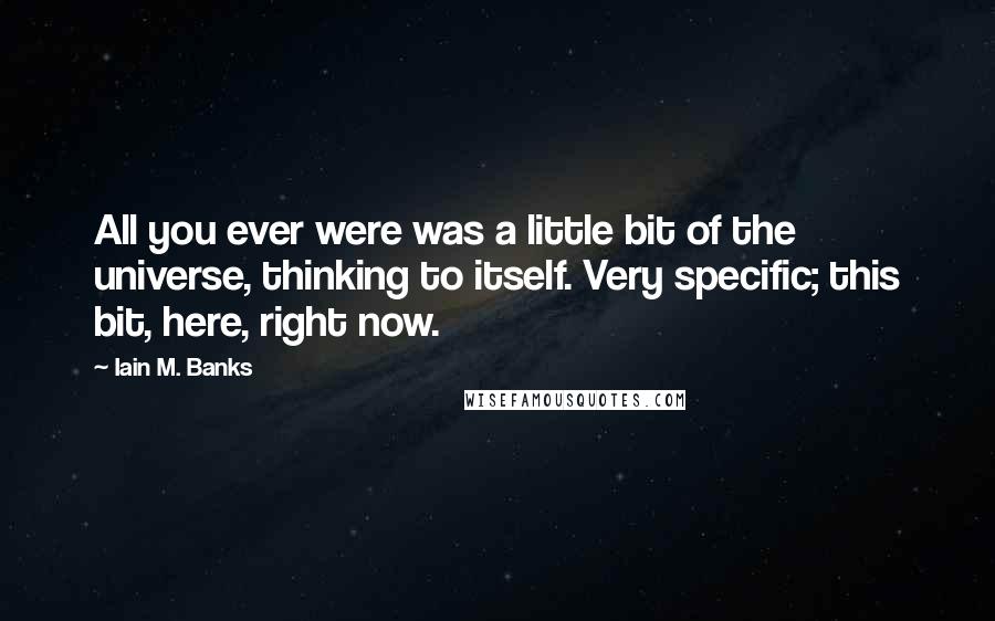 Iain M. Banks Quotes: All you ever were was a little bit of the universe, thinking to itself. Very specific; this bit, here, right now.