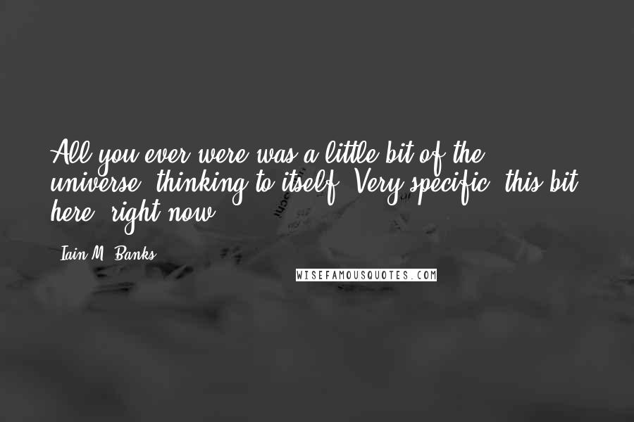 Iain M. Banks Quotes: All you ever were was a little bit of the universe, thinking to itself. Very specific; this bit, here, right now.