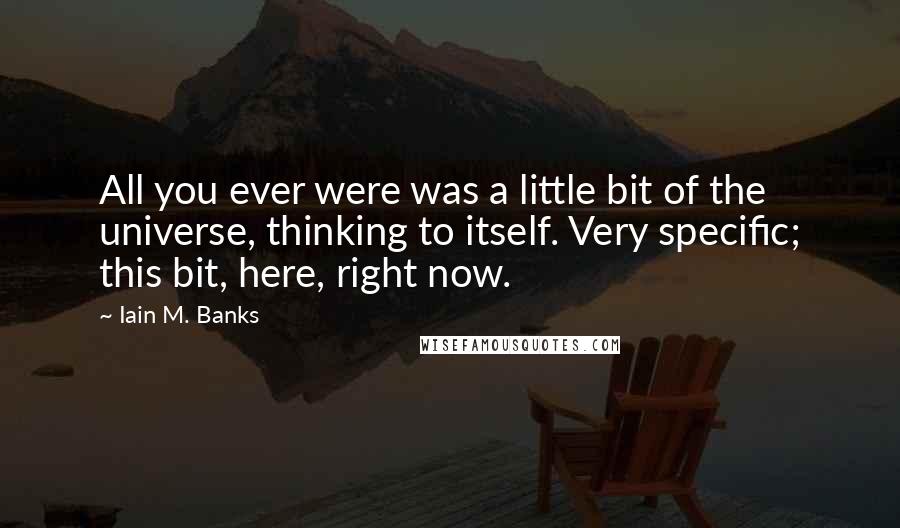 Iain M. Banks Quotes: All you ever were was a little bit of the universe, thinking to itself. Very specific; this bit, here, right now.