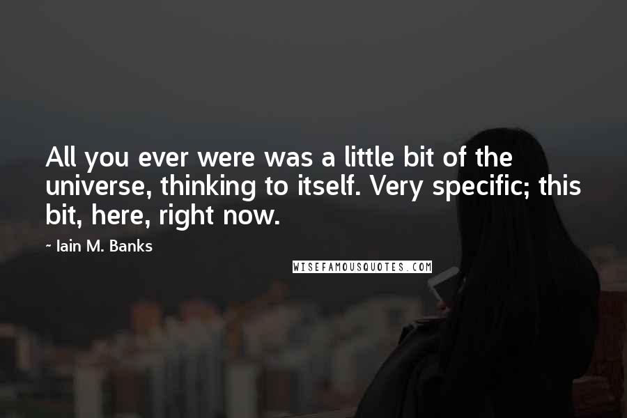 Iain M. Banks Quotes: All you ever were was a little bit of the universe, thinking to itself. Very specific; this bit, here, right now.