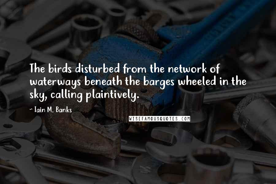 Iain M. Banks Quotes: The birds disturbed from the network of waterways beneath the barges wheeled in the sky, calling plaintively.