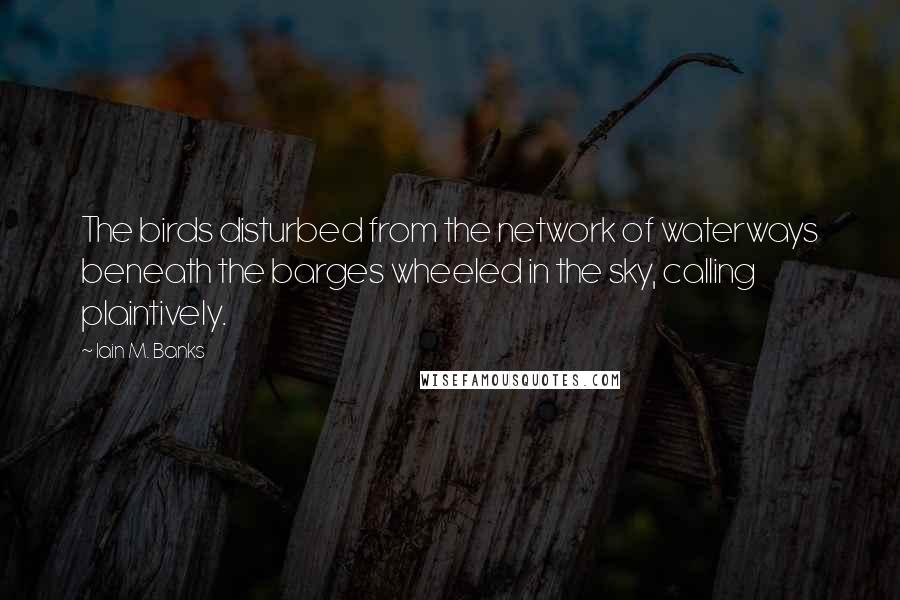 Iain M. Banks Quotes: The birds disturbed from the network of waterways beneath the barges wheeled in the sky, calling plaintively.