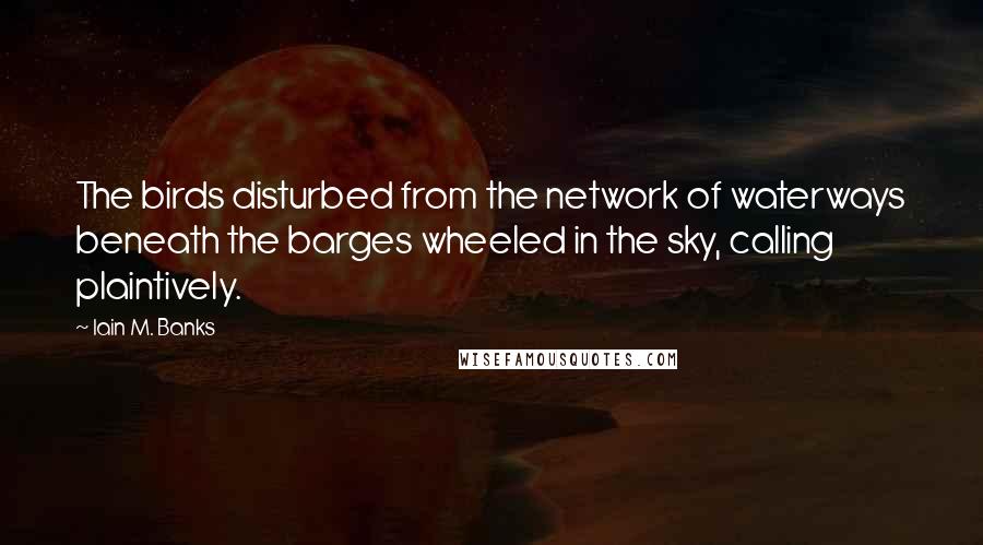 Iain M. Banks Quotes: The birds disturbed from the network of waterways beneath the barges wheeled in the sky, calling plaintively.