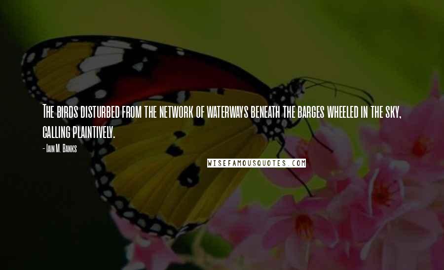 Iain M. Banks Quotes: The birds disturbed from the network of waterways beneath the barges wheeled in the sky, calling plaintively.