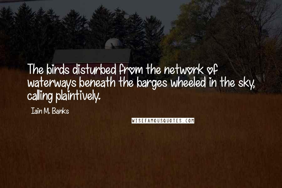 Iain M. Banks Quotes: The birds disturbed from the network of waterways beneath the barges wheeled in the sky, calling plaintively.