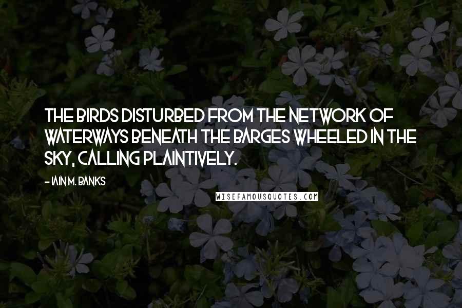 Iain M. Banks Quotes: The birds disturbed from the network of waterways beneath the barges wheeled in the sky, calling plaintively.