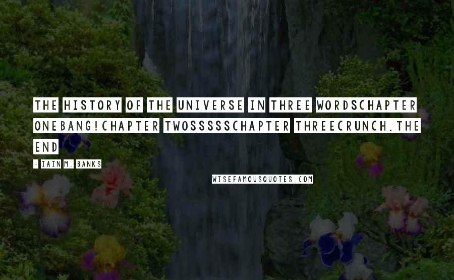 Iain M. Banks Quotes: The History Of The Universe In Three WordsCHAPTER ONEBang!CHAPTER TWOsssssCHAPTER THREEcrunch.THE END