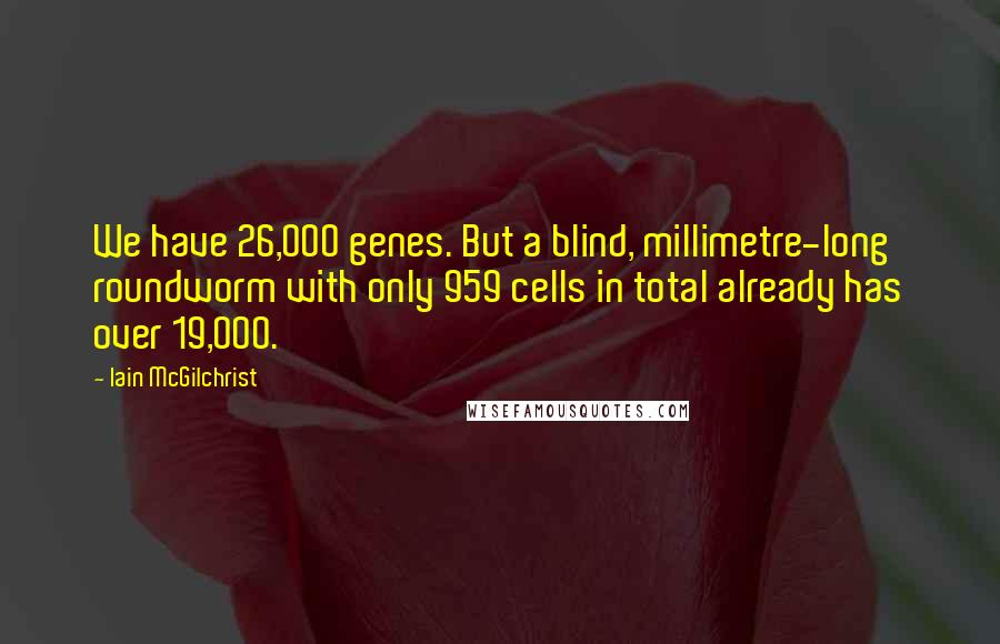 Iain McGilchrist Quotes: We have 26,000 genes. But a blind, millimetre-long roundworm with only 959 cells in total already has over 19,000.