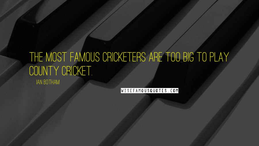 Ian Botham Quotes: The most famous cricketers are too big to play county cricket.
