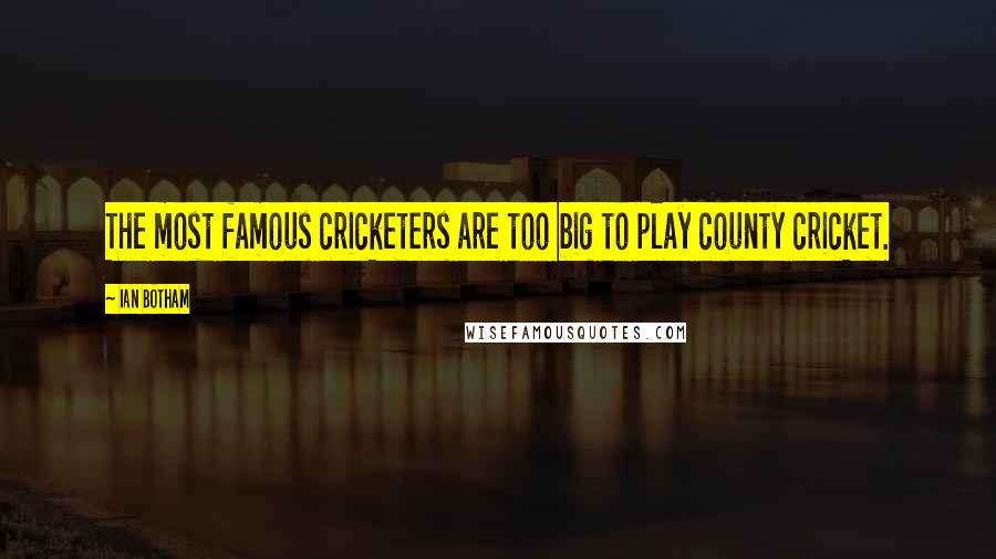 Ian Botham Quotes: The most famous cricketers are too big to play county cricket.