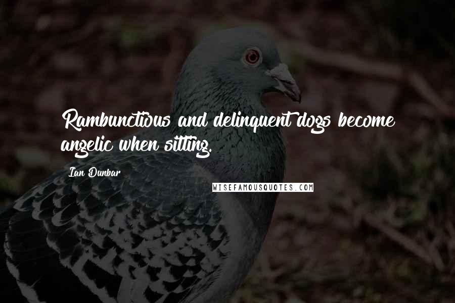 Ian Dunbar Quotes: Rambunctious and delinquent dogs become angelic when sitting.