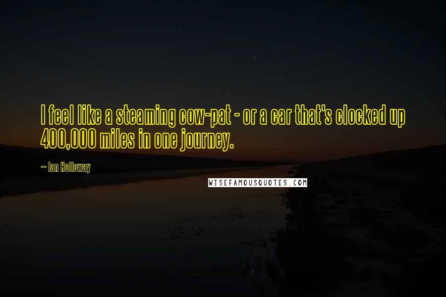 Ian Holloway Quotes: I feel like a steaming cow-pat - or a car that's clocked up 400,000 miles in one journey.