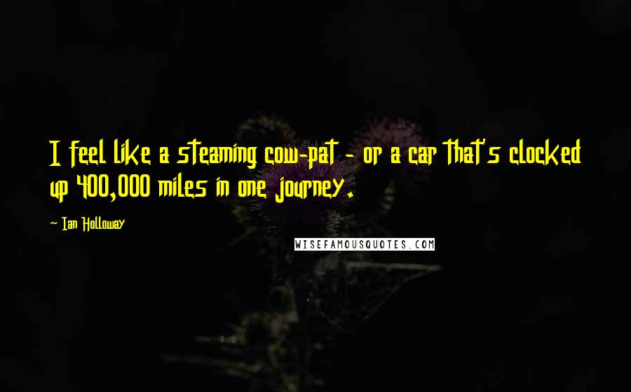 Ian Holloway Quotes: I feel like a steaming cow-pat - or a car that's clocked up 400,000 miles in one journey.