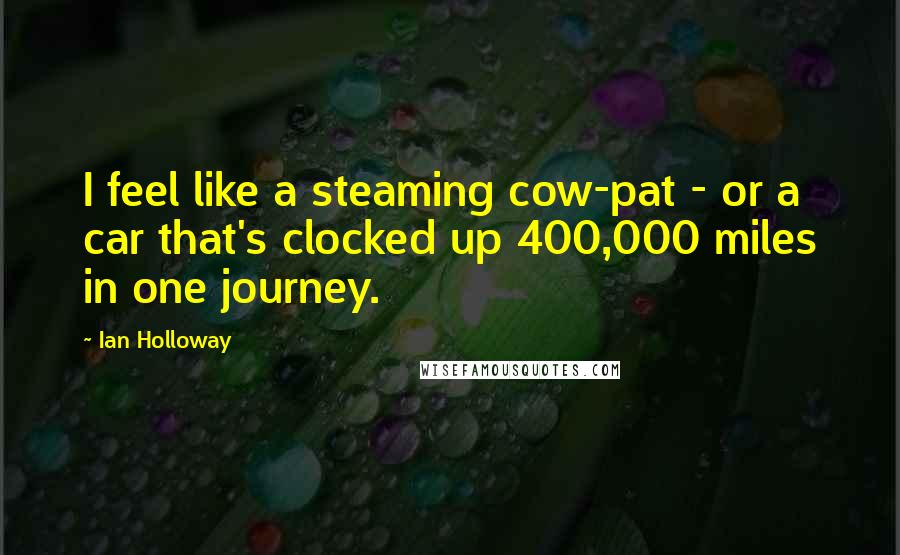 Ian Holloway Quotes: I feel like a steaming cow-pat - or a car that's clocked up 400,000 miles in one journey.