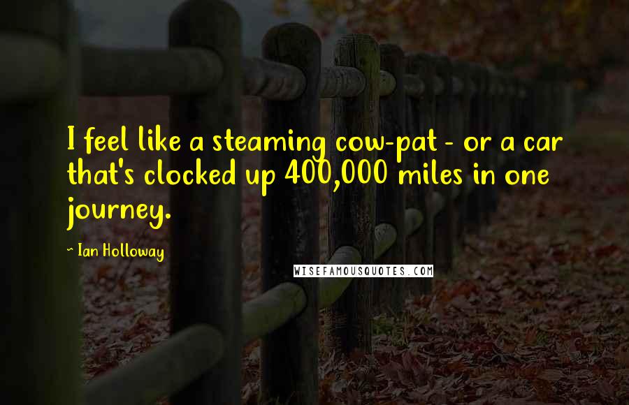 Ian Holloway Quotes: I feel like a steaming cow-pat - or a car that's clocked up 400,000 miles in one journey.