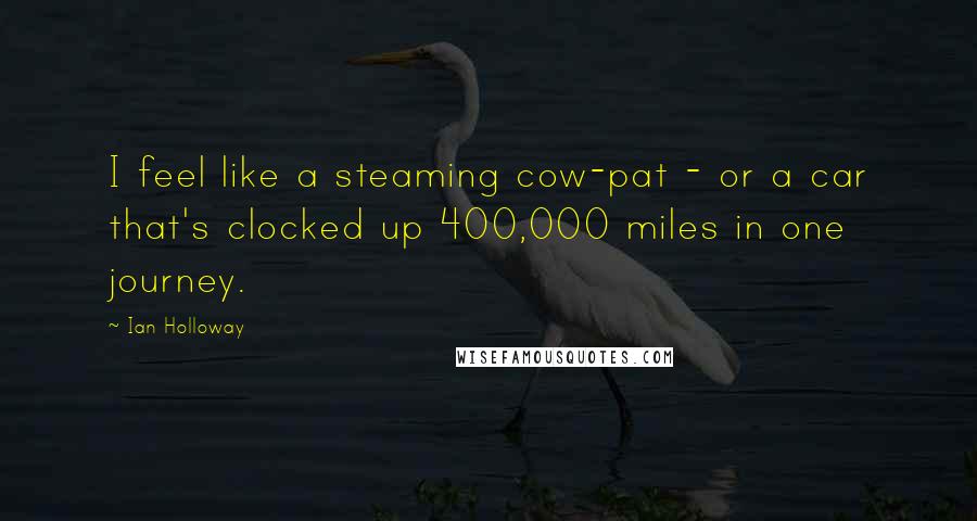 Ian Holloway Quotes: I feel like a steaming cow-pat - or a car that's clocked up 400,000 miles in one journey.