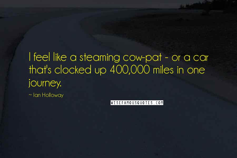 Ian Holloway Quotes: I feel like a steaming cow-pat - or a car that's clocked up 400,000 miles in one journey.