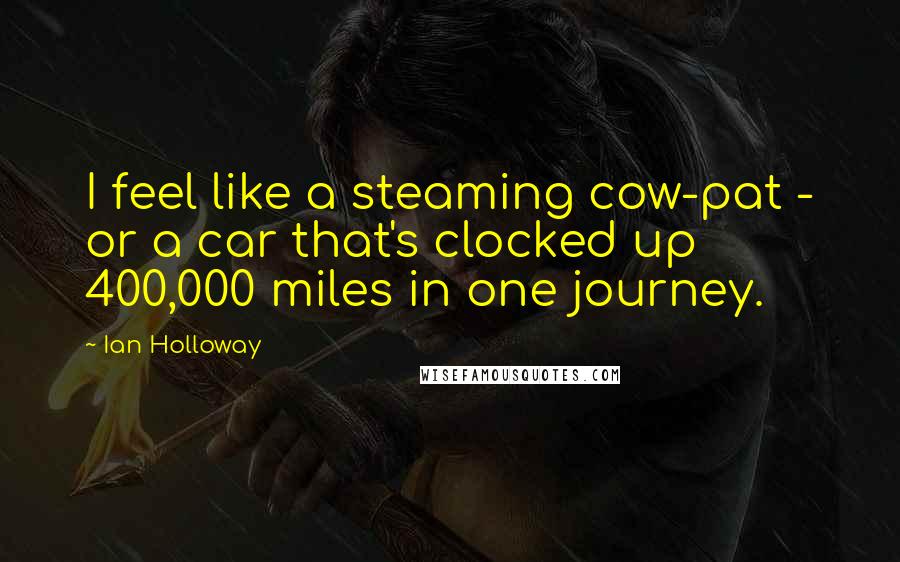 Ian Holloway Quotes: I feel like a steaming cow-pat - or a car that's clocked up 400,000 miles in one journey.