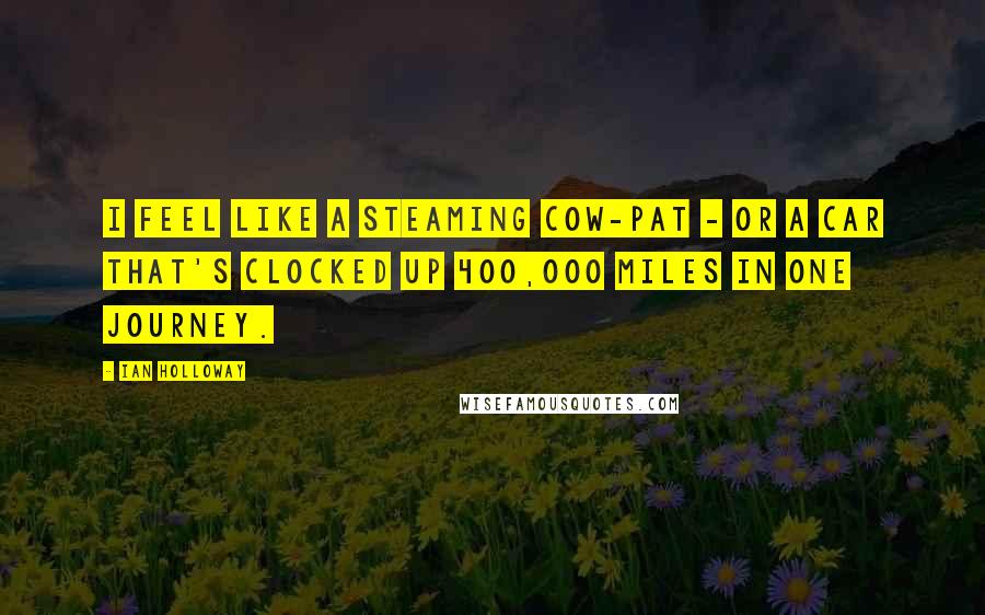 Ian Holloway Quotes: I feel like a steaming cow-pat - or a car that's clocked up 400,000 miles in one journey.
