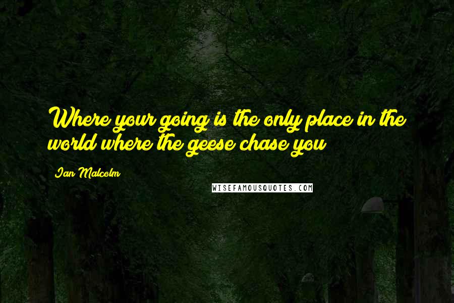 Ian Malcolm Quotes: Where your going is the only place in the world where the geese chase you!