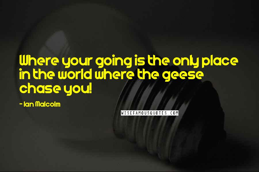 Ian Malcolm Quotes: Where your going is the only place in the world where the geese chase you!