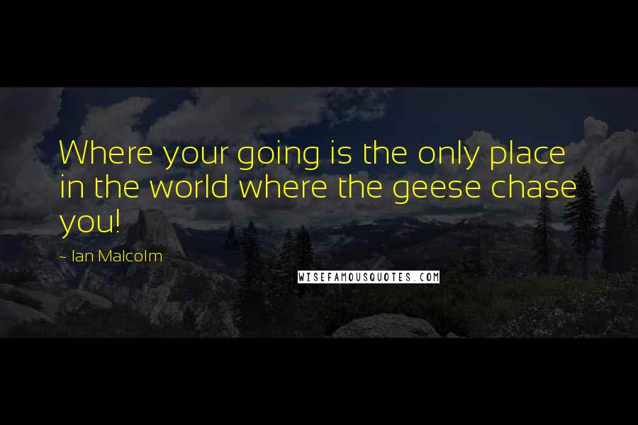 Ian Malcolm Quotes: Where your going is the only place in the world where the geese chase you!
