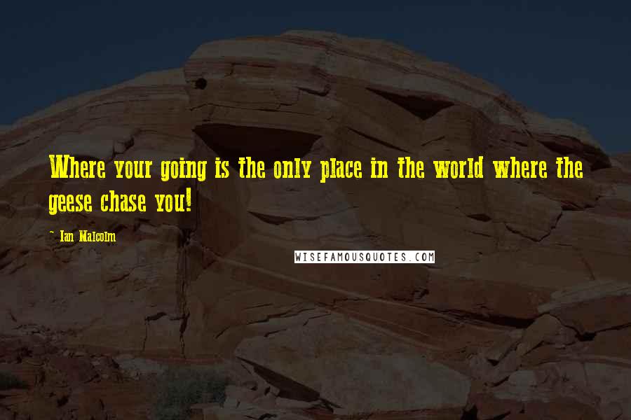 Ian Malcolm Quotes: Where your going is the only place in the world where the geese chase you!