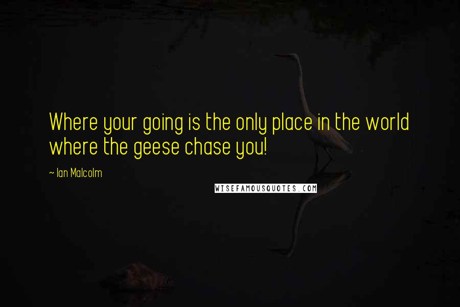 Ian Malcolm Quotes: Where your going is the only place in the world where the geese chase you!
