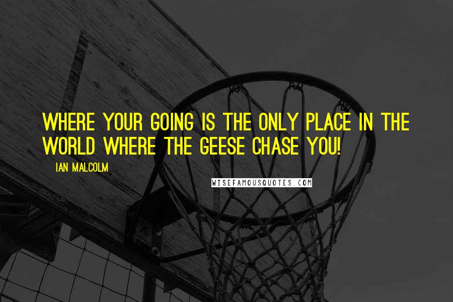Ian Malcolm Quotes: Where your going is the only place in the world where the geese chase you!