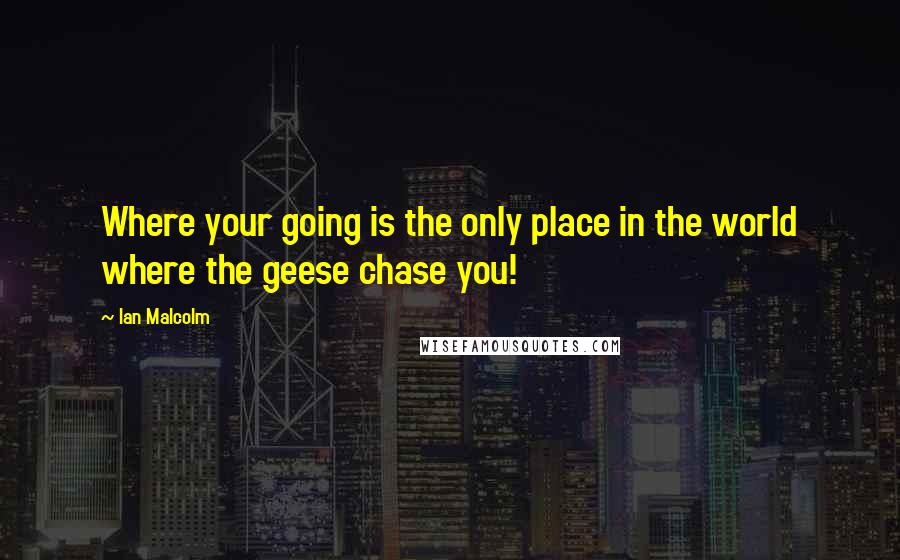 Ian Malcolm Quotes: Where your going is the only place in the world where the geese chase you!
