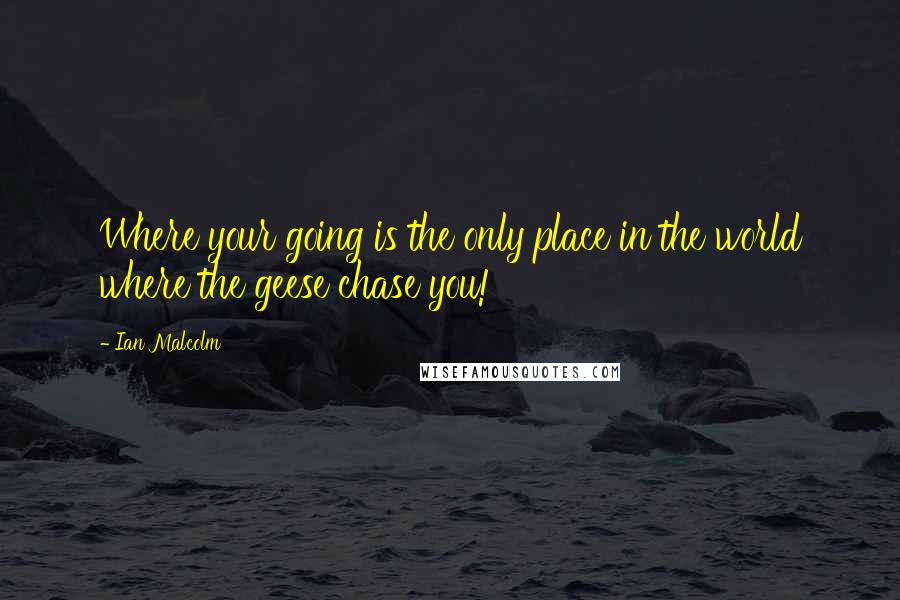 Ian Malcolm Quotes: Where your going is the only place in the world where the geese chase you!