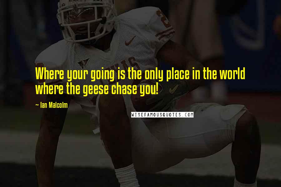 Ian Malcolm Quotes: Where your going is the only place in the world where the geese chase you!