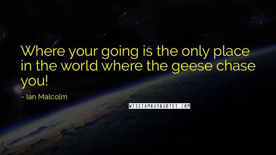 Ian Malcolm Quotes: Where your going is the only place in the world where the geese chase you!