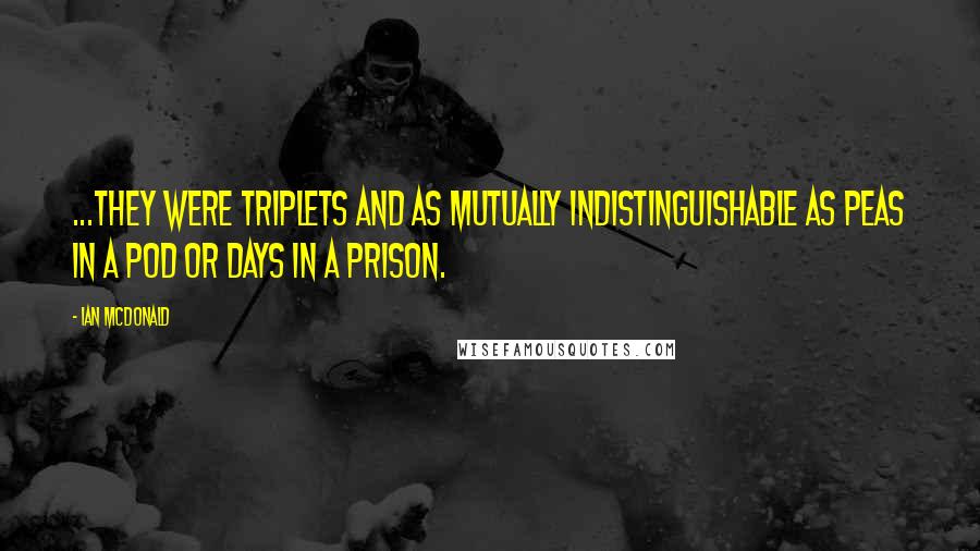 Ian McDonald Quotes: ...they were triplets and as mutually indistinguishable as peas in a pod or days in a prison.