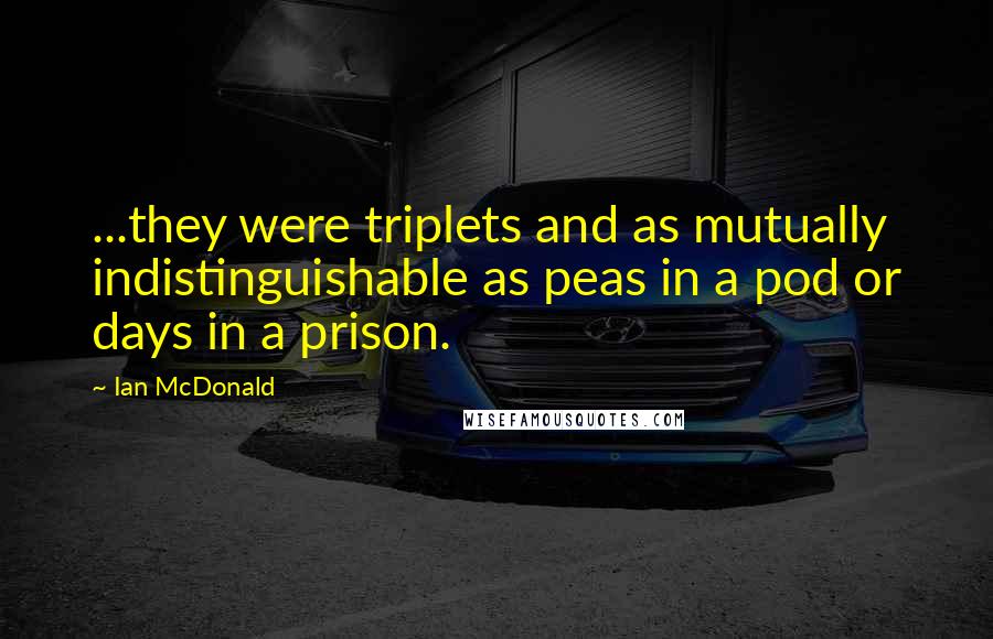 Ian McDonald Quotes: ...they were triplets and as mutually indistinguishable as peas in a pod or days in a prison.