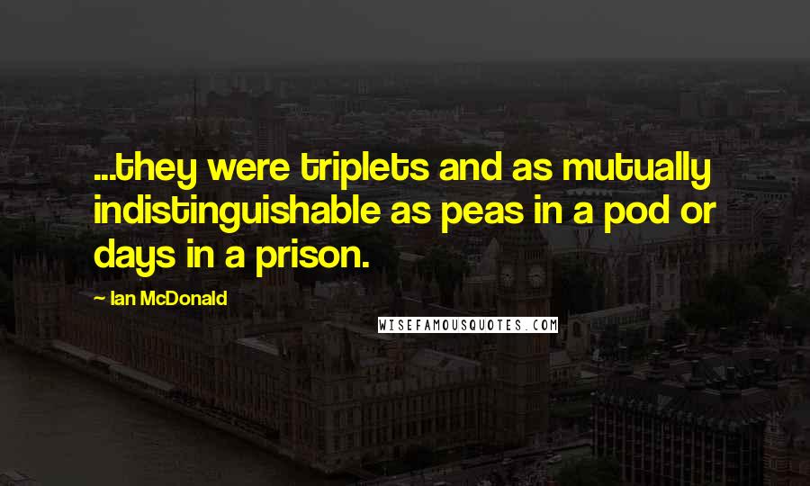 Ian McDonald Quotes: ...they were triplets and as mutually indistinguishable as peas in a pod or days in a prison.