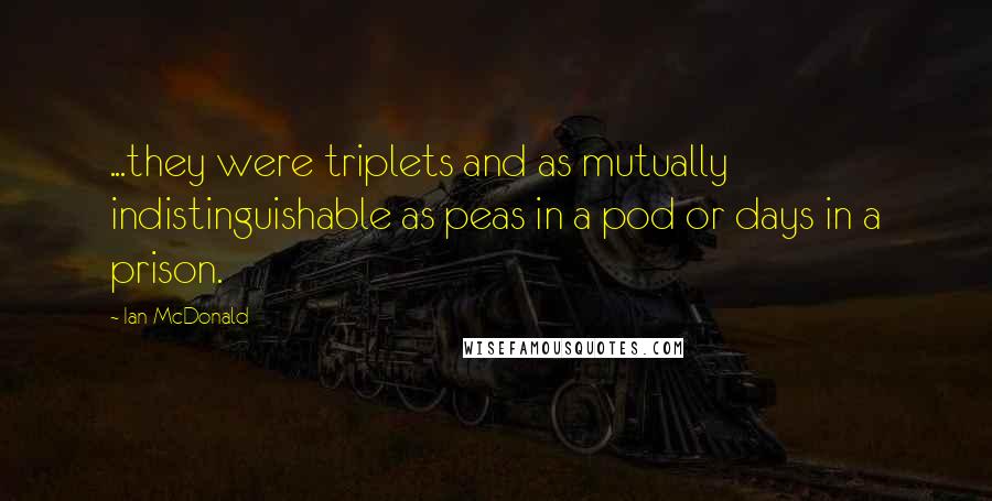 Ian McDonald Quotes: ...they were triplets and as mutually indistinguishable as peas in a pod or days in a prison.