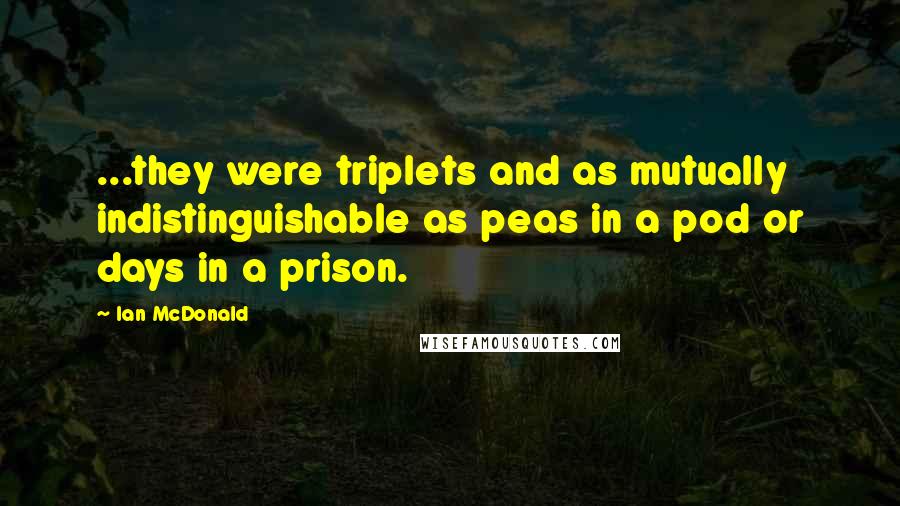 Ian McDonald Quotes: ...they were triplets and as mutually indistinguishable as peas in a pod or days in a prison.