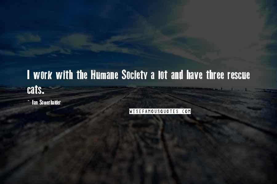 Ian Somerhalder Quotes: I work with the Humane Society a lot and have three rescue cats.