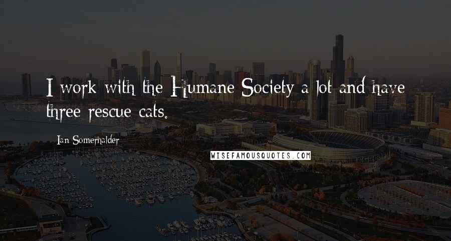 Ian Somerhalder Quotes: I work with the Humane Society a lot and have three rescue cats.