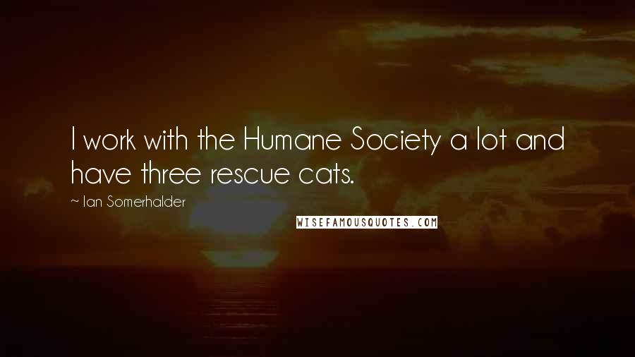 Ian Somerhalder Quotes: I work with the Humane Society a lot and have three rescue cats.