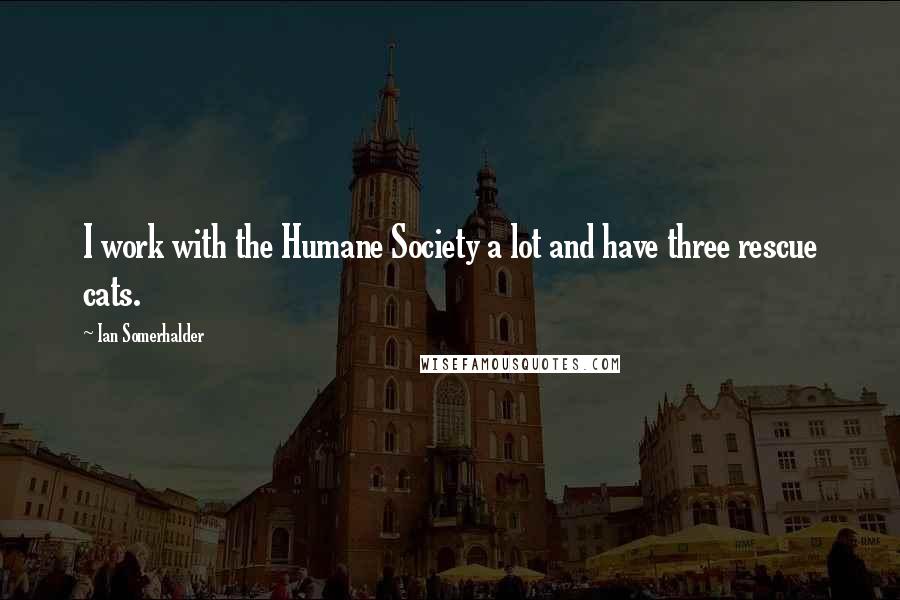 Ian Somerhalder Quotes: I work with the Humane Society a lot and have three rescue cats.