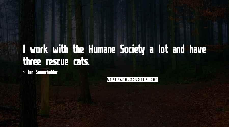 Ian Somerhalder Quotes: I work with the Humane Society a lot and have three rescue cats.