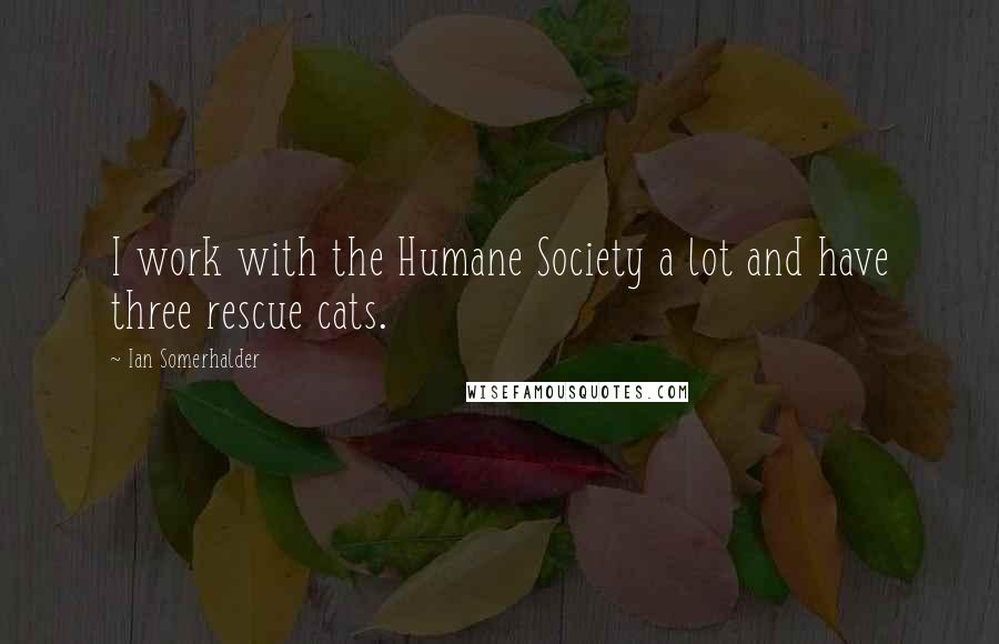 Ian Somerhalder Quotes: I work with the Humane Society a lot and have three rescue cats.