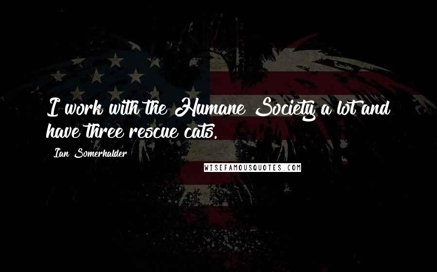 Ian Somerhalder Quotes: I work with the Humane Society a lot and have three rescue cats.
