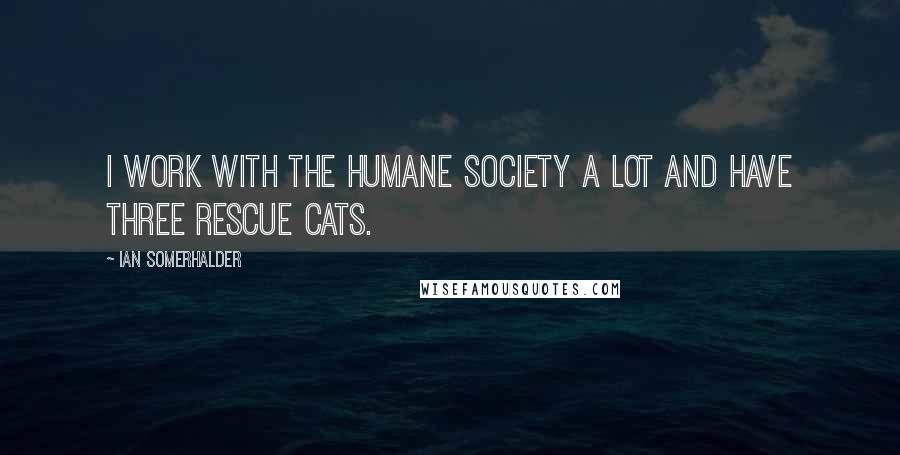 Ian Somerhalder Quotes: I work with the Humane Society a lot and have three rescue cats.