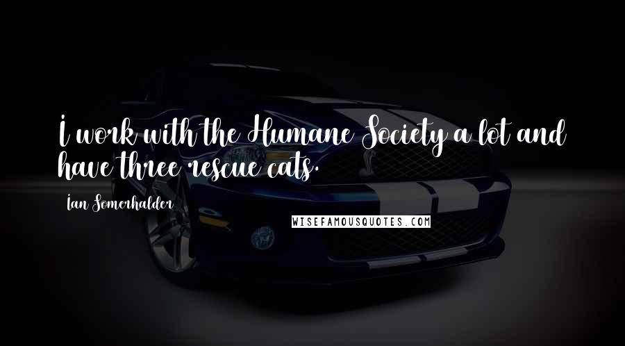 Ian Somerhalder Quotes: I work with the Humane Society a lot and have three rescue cats.